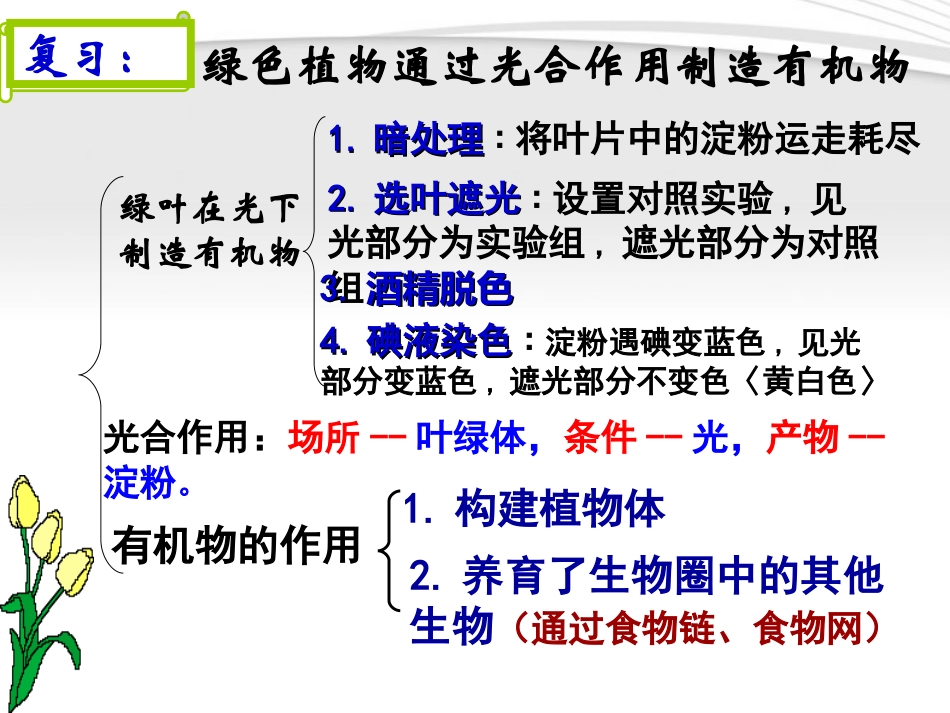 《光合作用吸收二氧化碳释放氧气》绿色植物与生物圈中碳-氧平衡PPT课件2_第2页