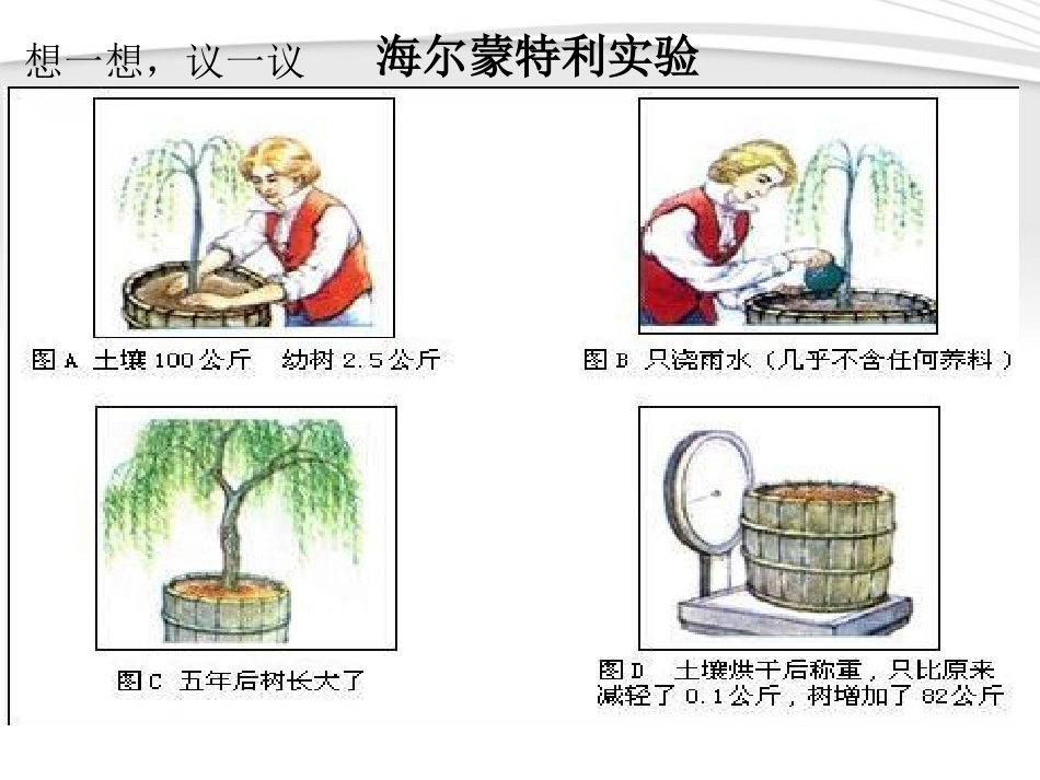 《光合作用吸收二氧化碳释放氧气》绿色植物与生物圈中碳-氧平衡PPT课件2_第3页