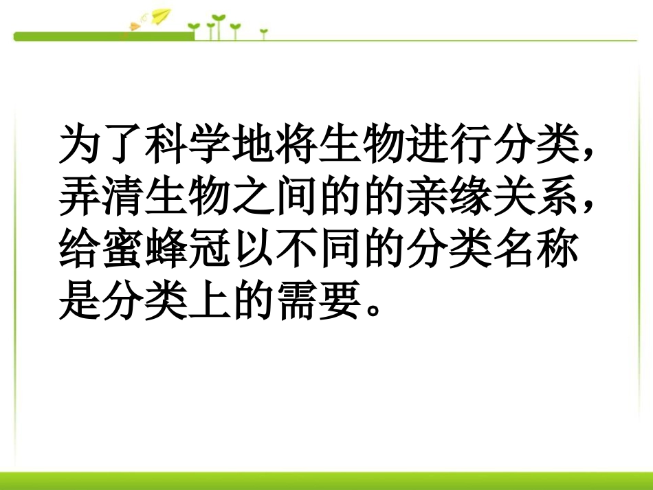 《从种到界》根据生物的特征进行分类PPT课件6_第3页