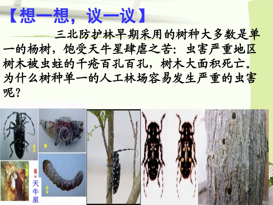 《认识生物的多样性》PPT课件7_第2页