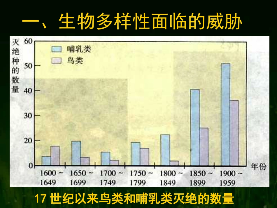 《保护生物的多样性》PPT课件2_第3页