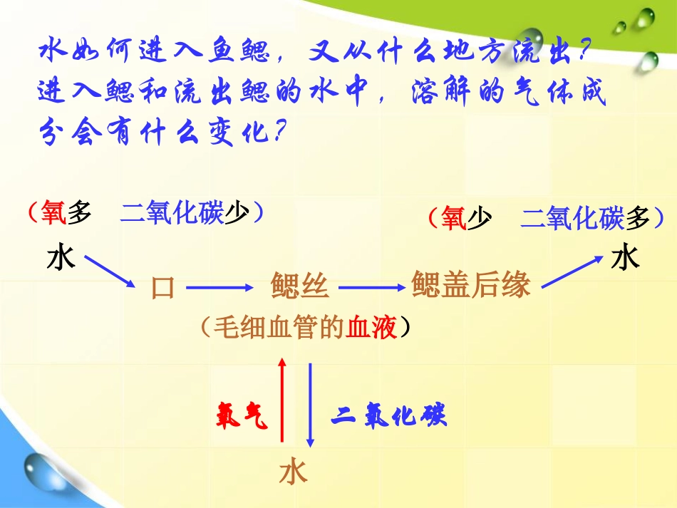 《八年级生物上册总复习》PPT课件2_第3页