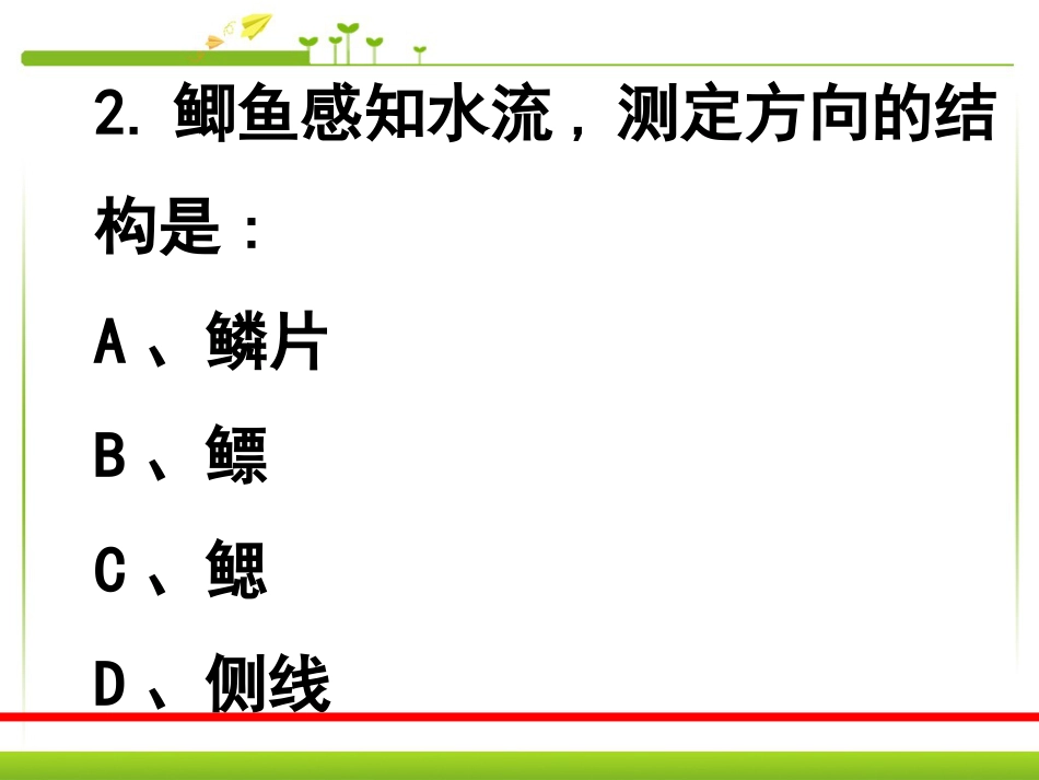 《八年级生物上册总复习》PPT课件3_第3页