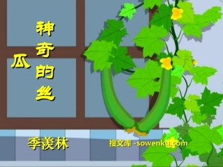 《神奇的丝瓜》PPT课件8