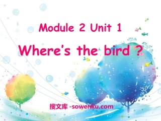 《Where’s the bird?》PPT课件4