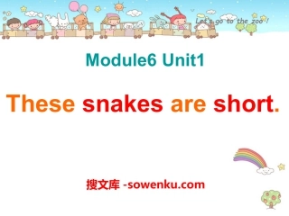 《These snakes are short》PPT课件5