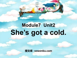 《She's got a cold》PPT课件4