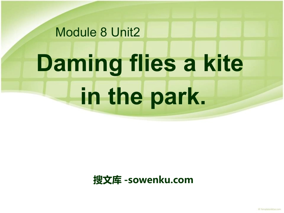 《Daming flies a kite in the park》PPT课件_第1页