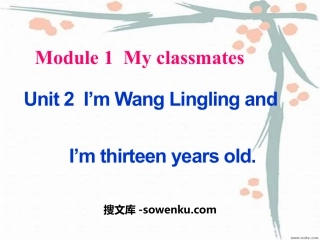 《I'm Wang Lingling and I'm thirteen years old》PPT课件3