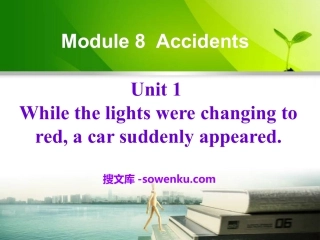 《While the lights were changing to reda car suddenly appeared》Accidents PPT课件