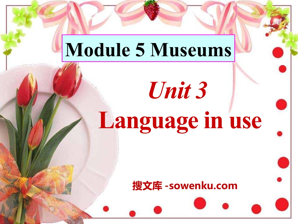 《Language in use》Museums PPT课件_第1页