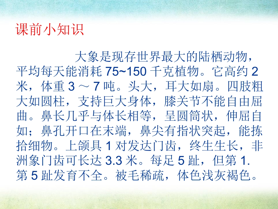 《大象保姆》PPT课件4_第2页