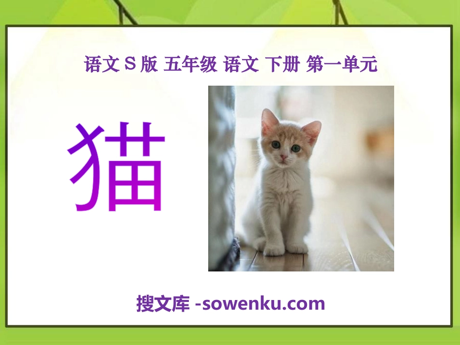 《猫》PPT课件6_第1页