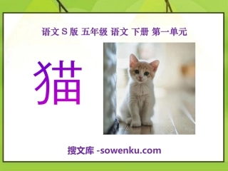 《猫》PPT课件6