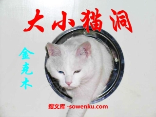 《大小猫洞》PPT课件