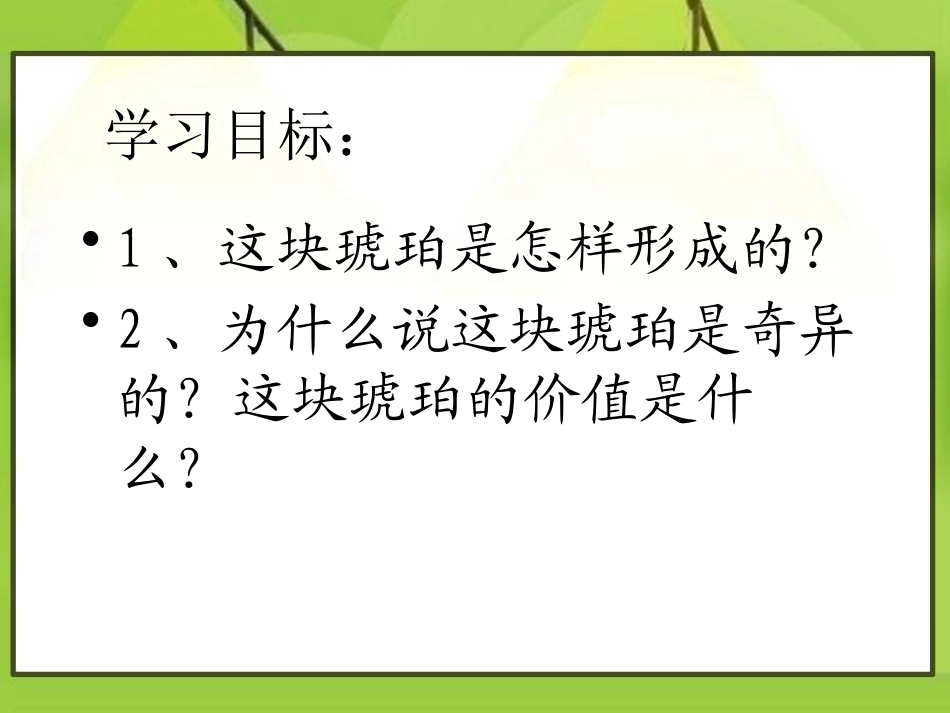 《奇异的琥珀》PPT课件6_第2页