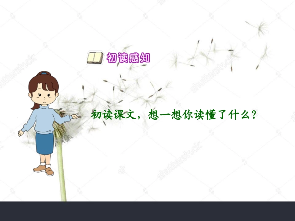 《蒲公英不说一语》PPT课件_第3页