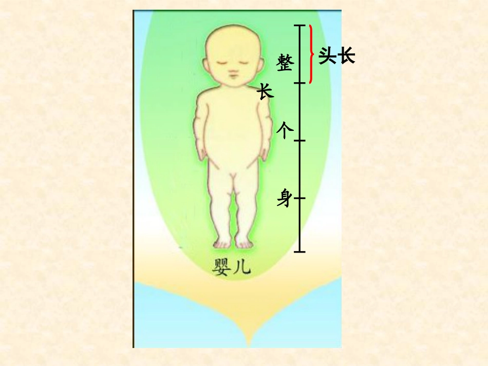 《我当小厨师》PPT课件2_第3页