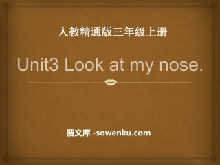 《Look at my nose》PPT课件5