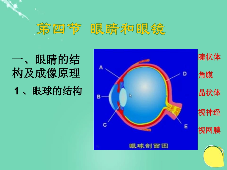 《眼睛和眼镜》常见的光学仪器PPT课件4_第2页