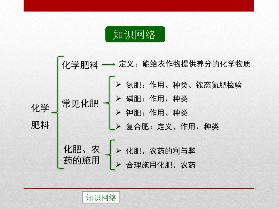 《化学肥料》盐PPT课件3_第2页