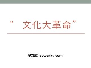 《“文化大革命”》社会主义道路的探索PPT课件