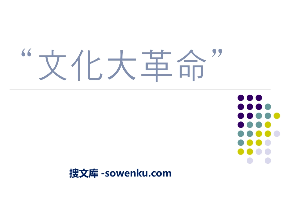 《“文化大革命”》社会主义道路的探索PPT课件2_第1页