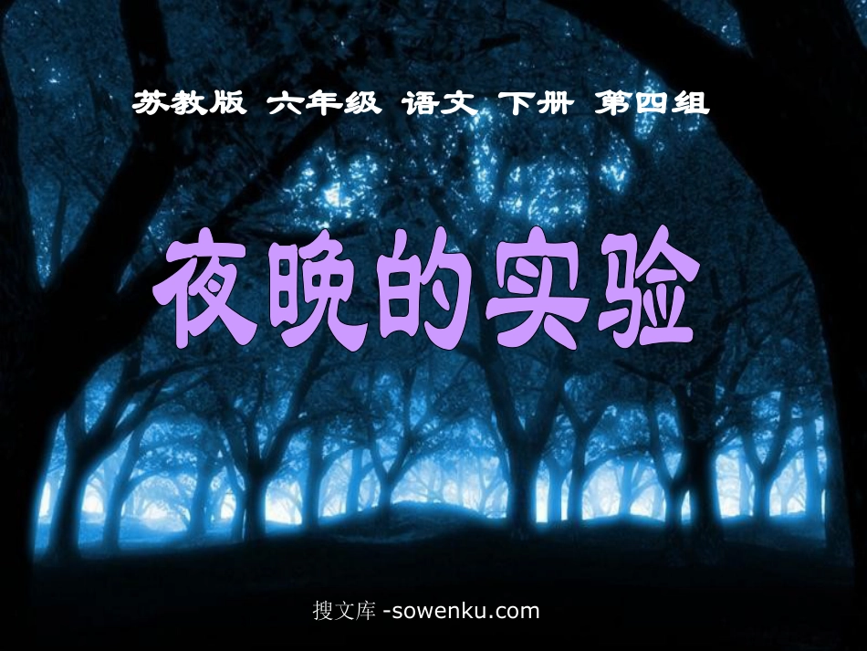 《夜晚的实验》PPT课件_第1页