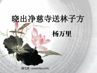 《晓出净慈寺送林子方》PPT课件5