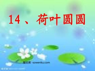 《荷叶圆圆》PPT课件4