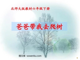 《爸爸带我去爬树》PPT课件3