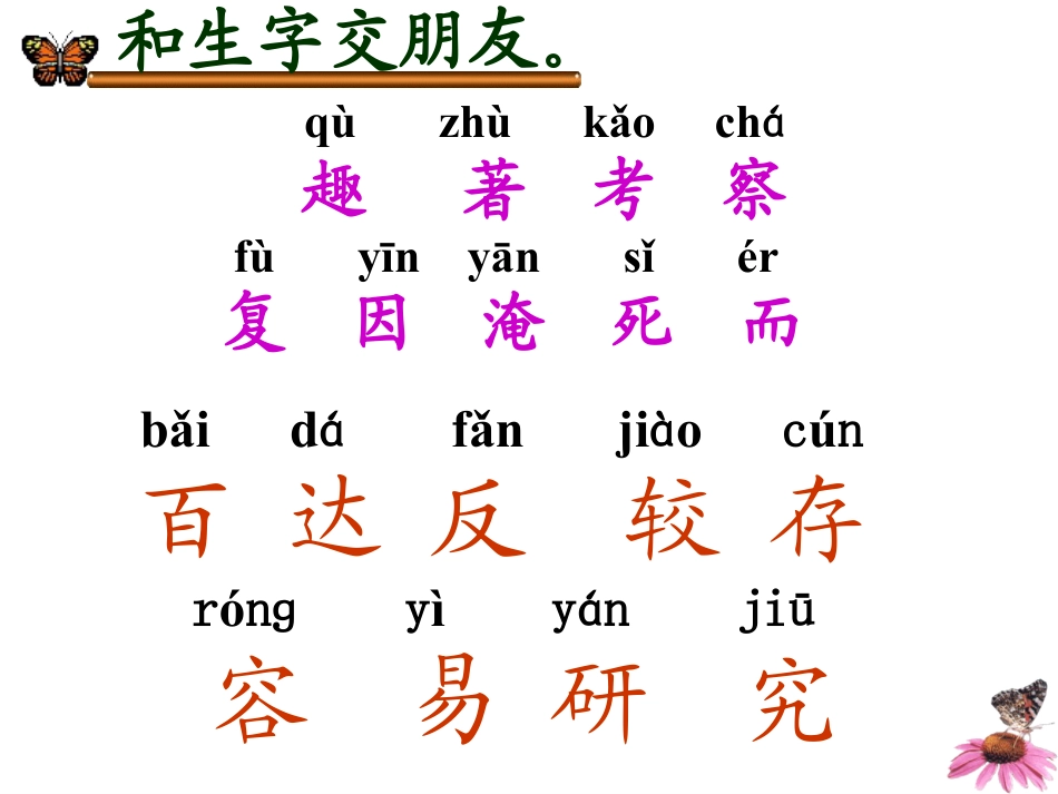 《有趣的发现》PPT课件5_第2页