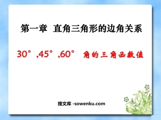 《30°、45°、60°角的三角函数值》直角三角形的边角关系PPT课件4