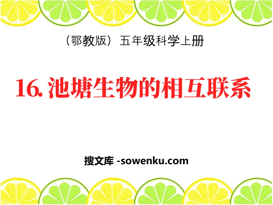 《池塘生物的相互联系》池塘群落PPT课件2_第1页