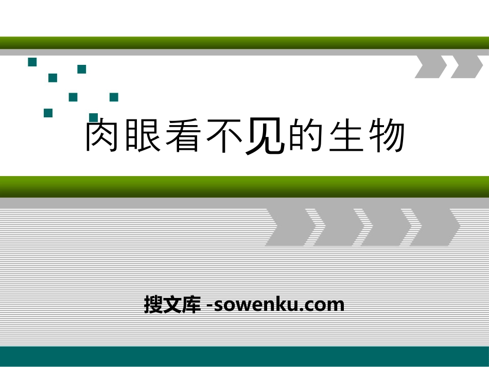 《肉眼看不见的生物》认识更多的生物PPT课件_第1页