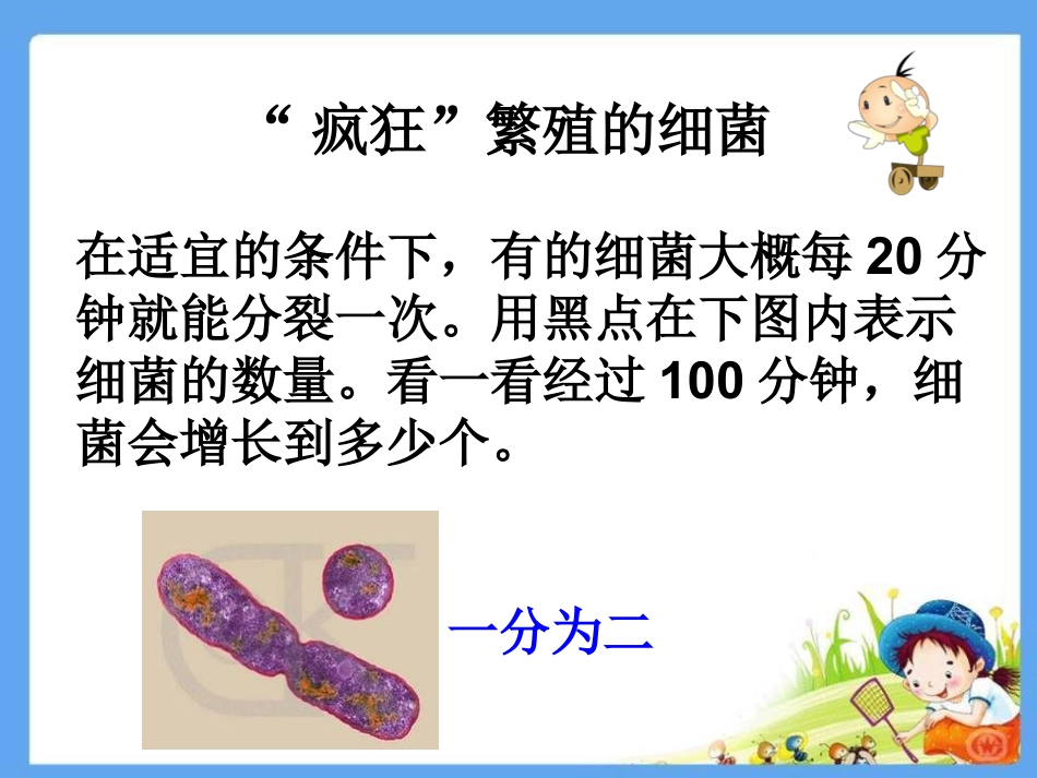 《微生物怎样生活》PPT_第3页