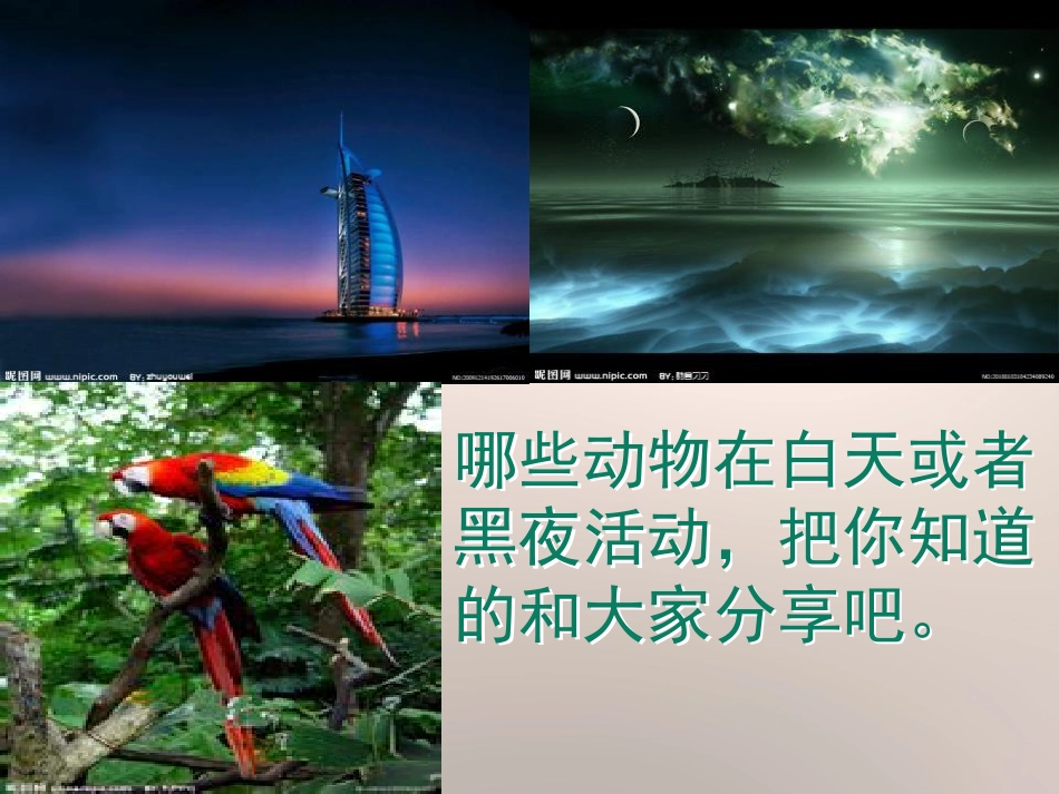 《昼夜与生物》PPT_第3页