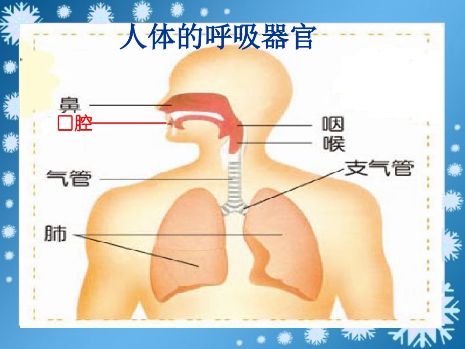 《我们的呼吸》PPT_第2页