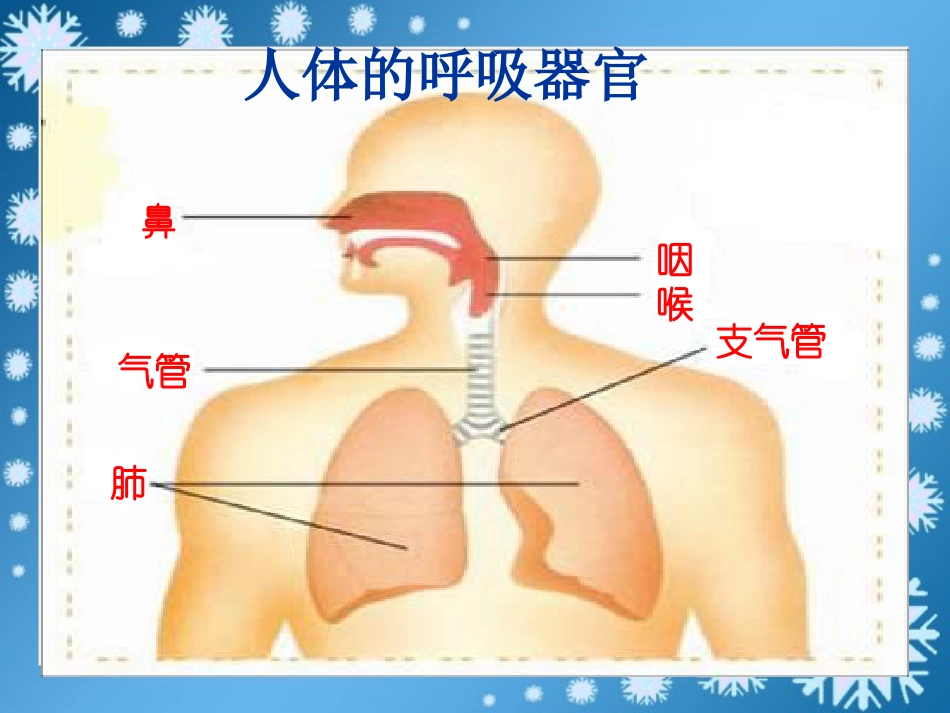 《我们的呼吸》PPT_第3页