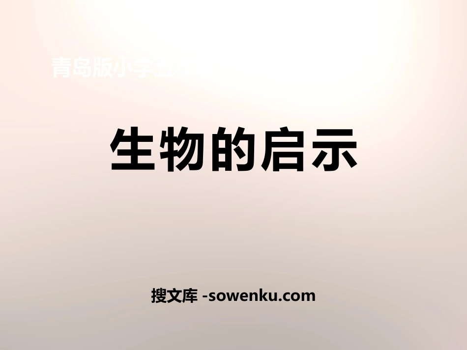 《生物的启示》PPT_第1页