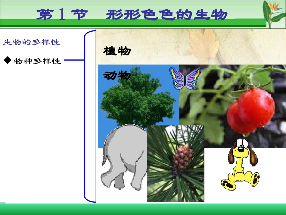 《形形色色的生物》PPT_第3页