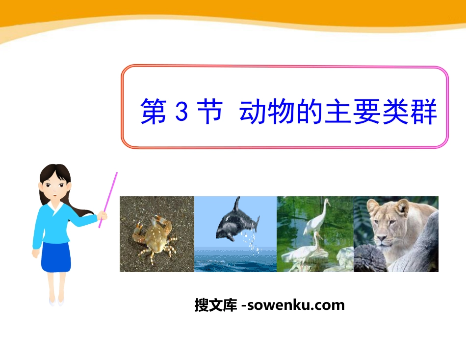 《动物的主要类群》PPT_第1页