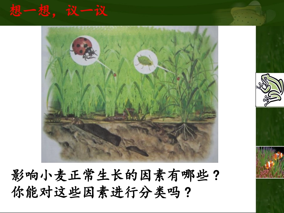 《生物与环境的关系》PPT课件_第3页