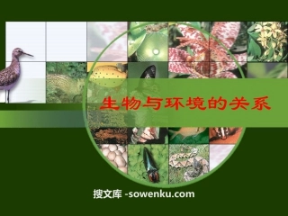 《生物与环境的关系》PPT课件