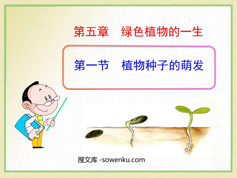 《植物种子的萌发》PPT_第1页