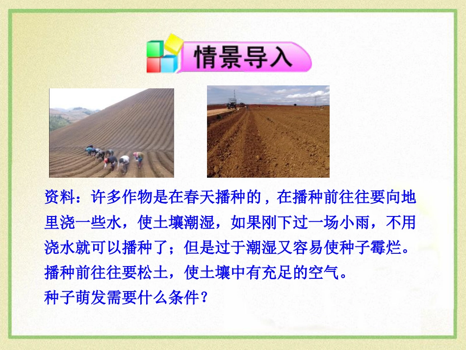 《植物种子的萌发》PPT_第2页