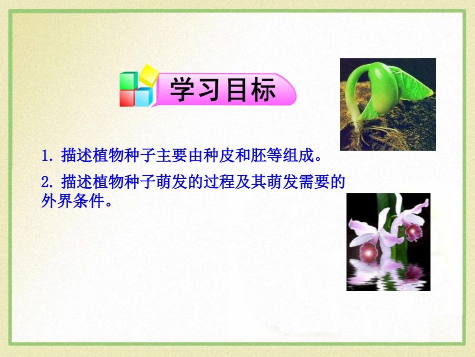 《植物种子的萌发》PPT_第3页