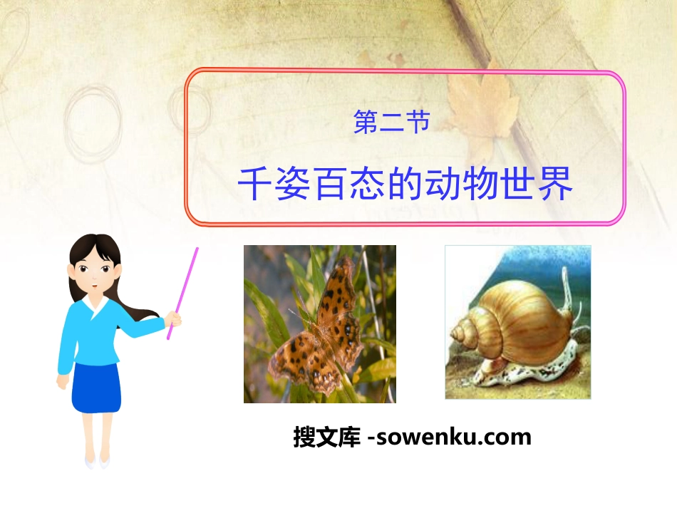 《千姿百态的动物世界》PPT_第1页