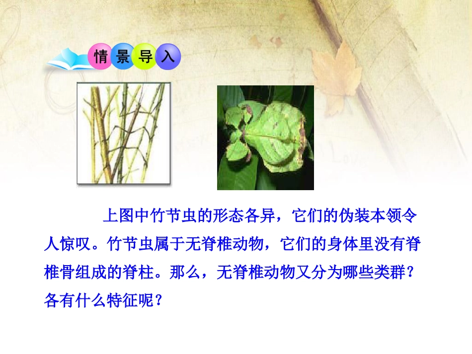 《千姿百态的动物世界》PPT_第2页