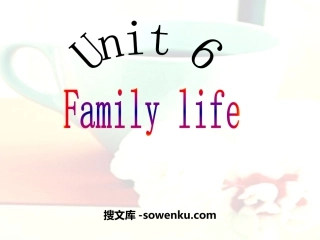 《Family life》PPT